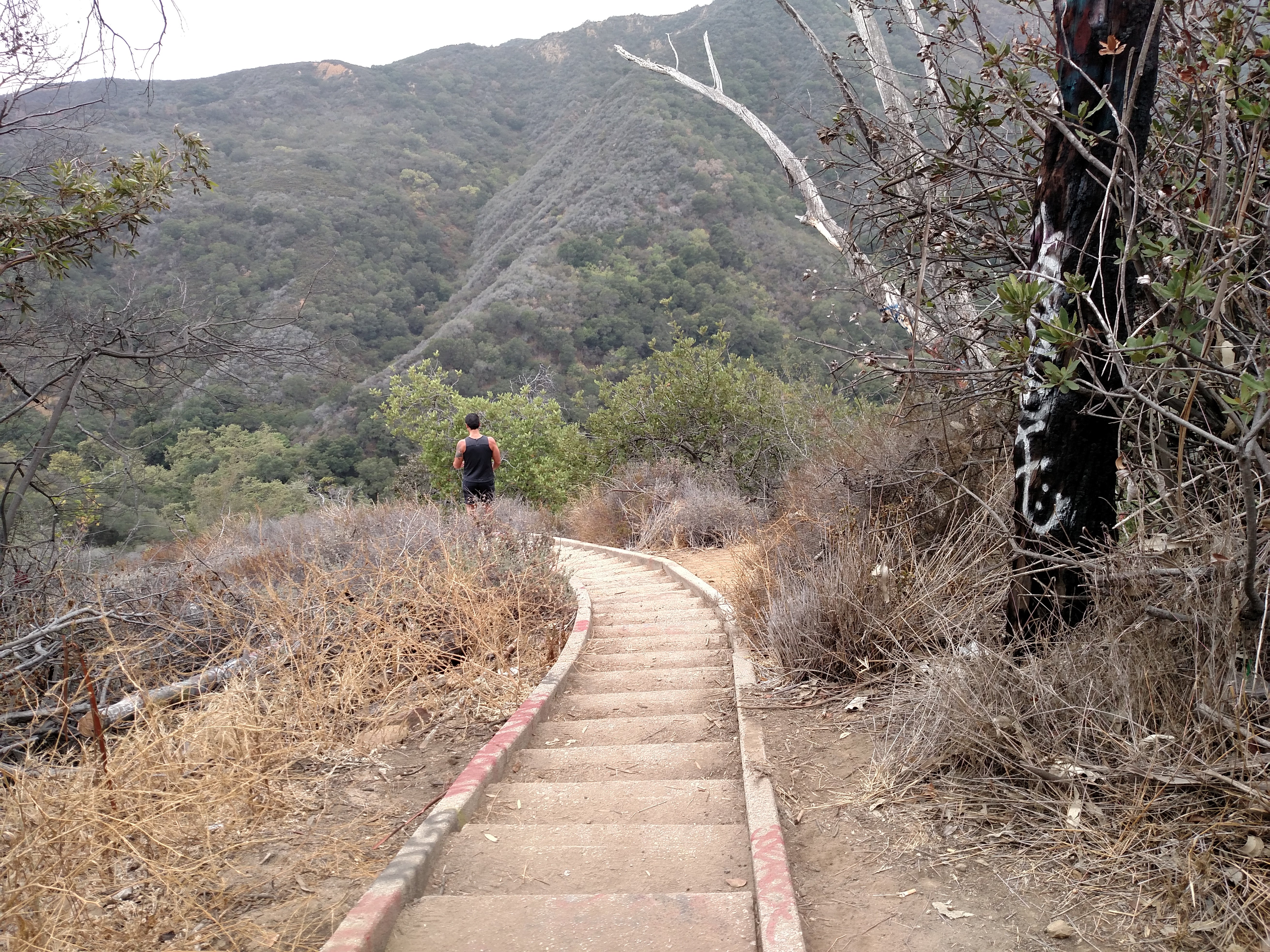 Discover the Hidden Stairs of Los Angeles Discover Los Angeles